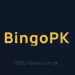 Bingopk icon